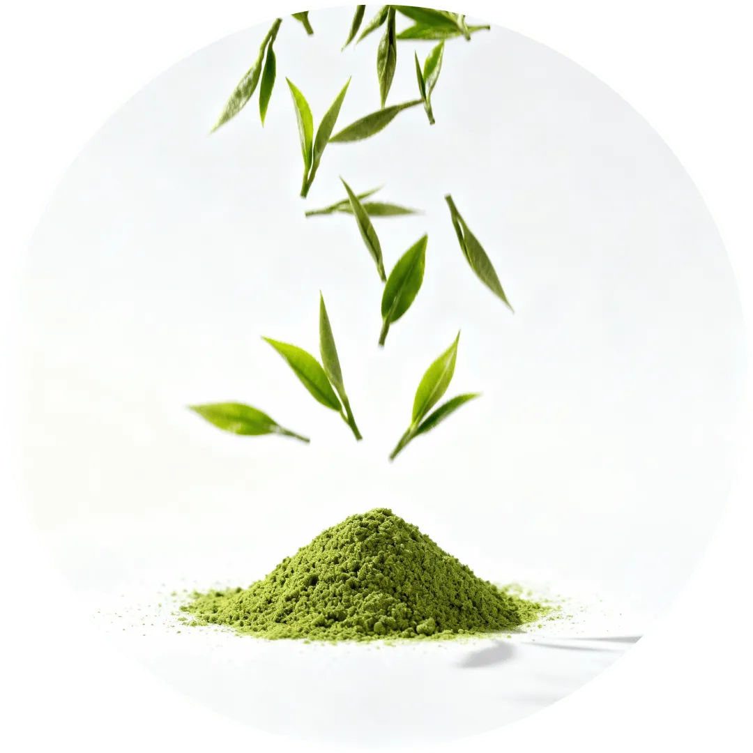 Green Tea Extract
